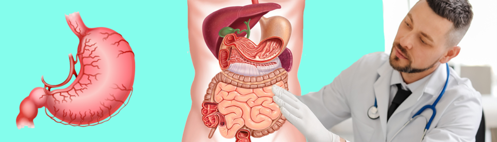 Gastroenterology – APNA HOSPITALS